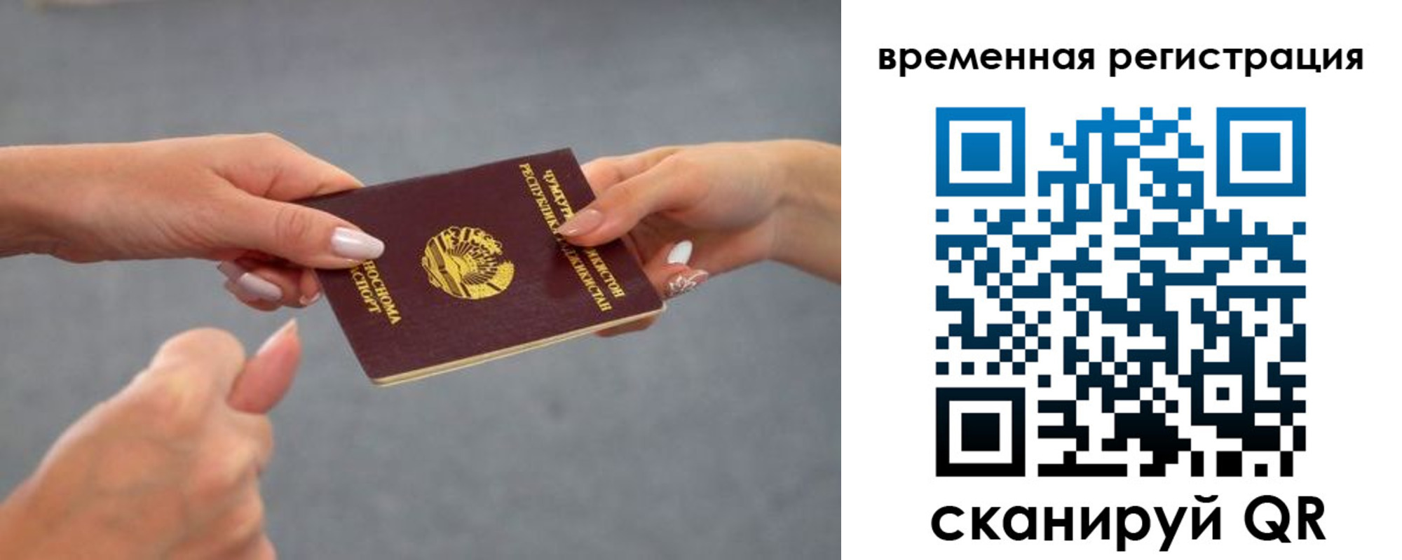 временная регистрация для школы в Белгородской области